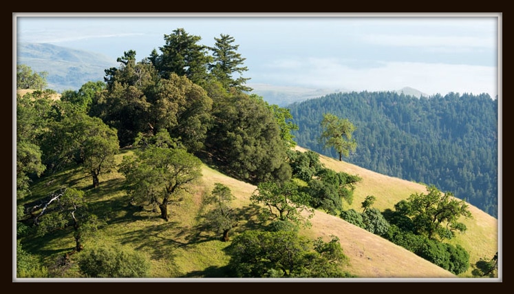 Sonoma-Mountain2