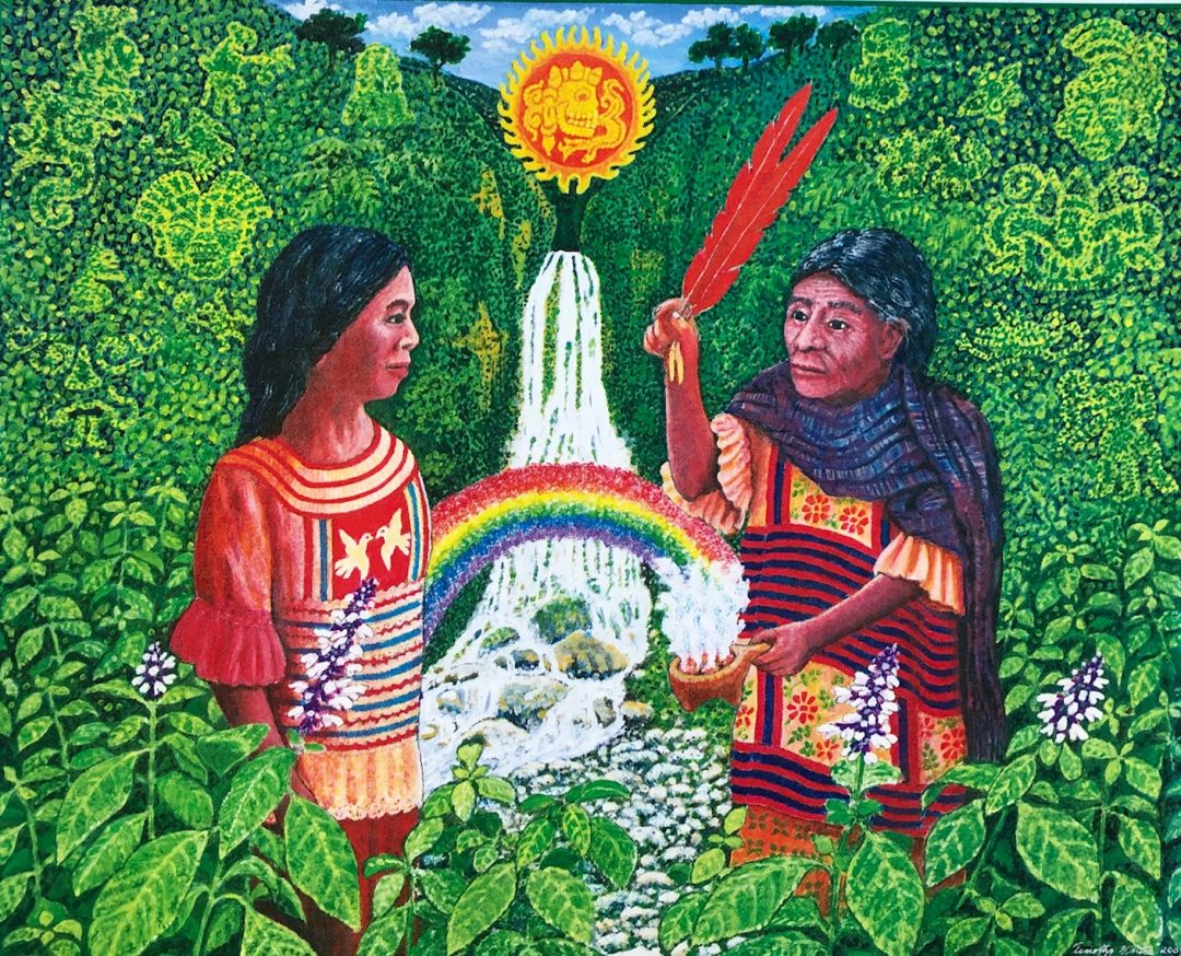 Illustration of two women in lush green leaves