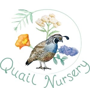 Quail Nursery logo
