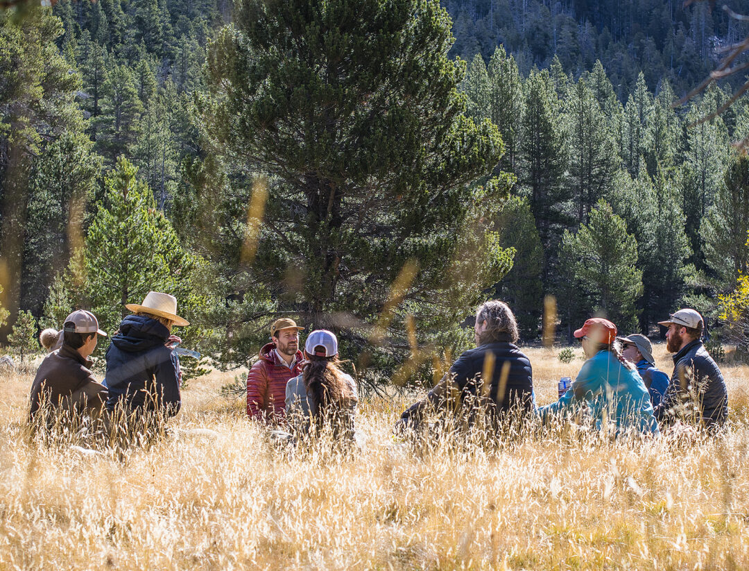 Group of 9 people sitting in a circle in a golden-brown field of tall grasses with a wide mountain tree line in the background.