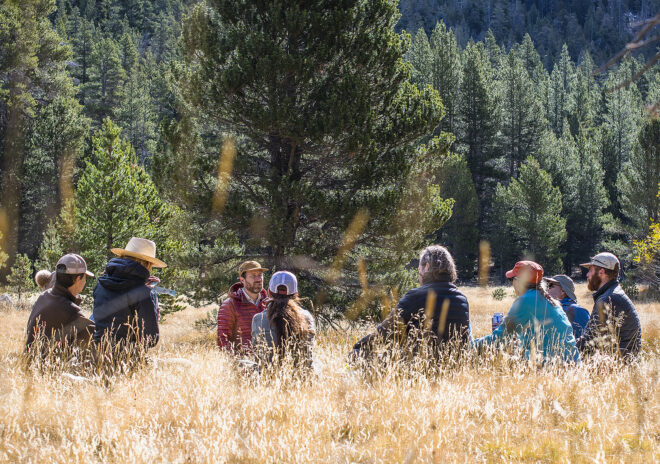 Group of 9 people sitting in a circle in a golden-brown field of tall grasses with a wide mountain tree line in the background.