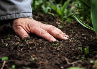 Soil Smart – Soil Wise