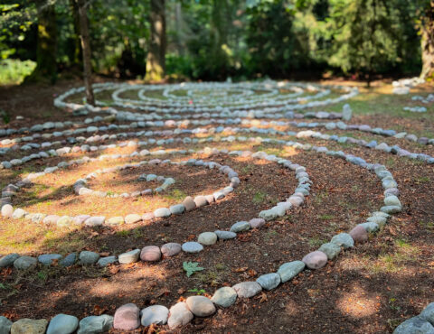 The Spiral Collective Inquiring Systems