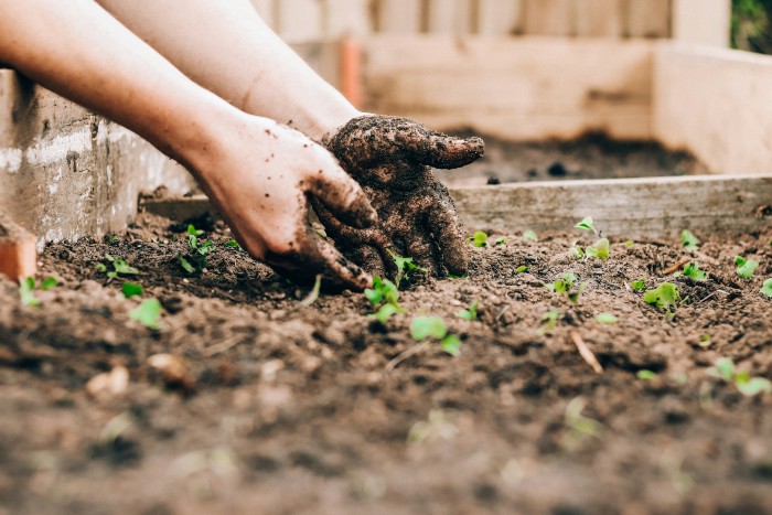 Oliview Community Farm Building Project