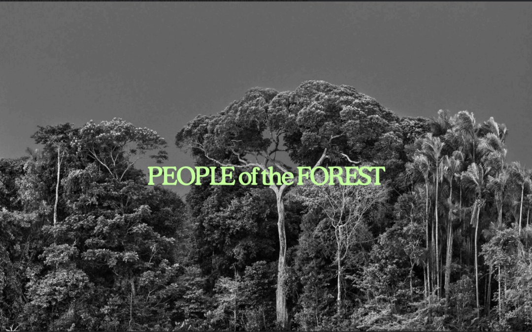 People of the Forest